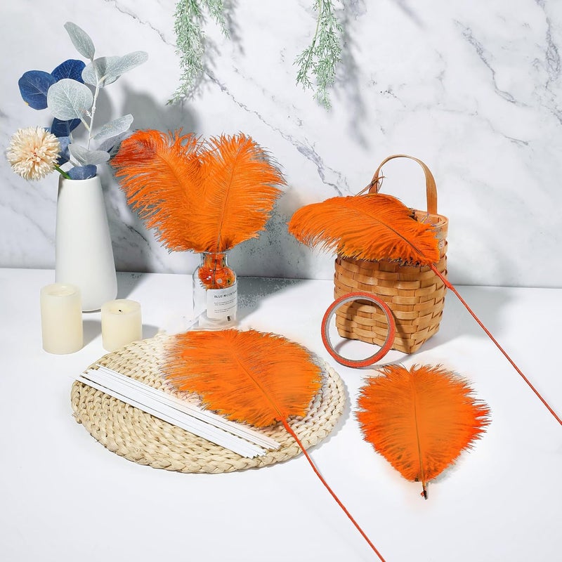 Holmgren Orange Ostrich Feathers Bulk - 20pcs Making Kit 22 Inch Ostrich Feathers for Vase, Floral Arrangement, Wedding Party Centerpieces and Halloween Home Decor (Orange) - Image 5